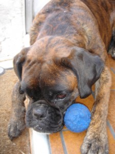 Cindy mit Ball