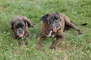 acililli Amelie und Acim mit 10 Jahren