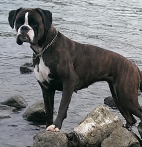 Maggie