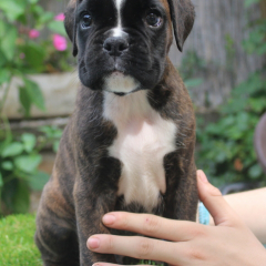 PHOTO-2024-08-19-13-05-14