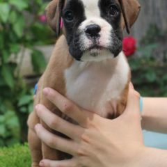 PHOTO-2024-08-19-13-05-37