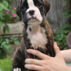 PHOTO-2024-08-19-13-05-53