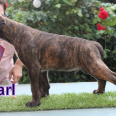 PHOTO-2024-08-19-13-06-09