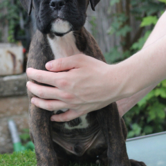 PHOTO-2024-08-19-13-06-26