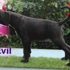 PHOTO-2024-08-19-13-06-44