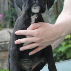 PHOTO-2024-08-19-13-07-02